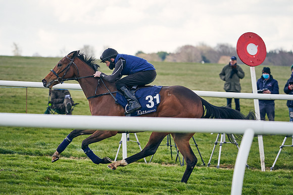 2021-04-12-Dominic-James-Craven-Breeze-Up-Sales-1254