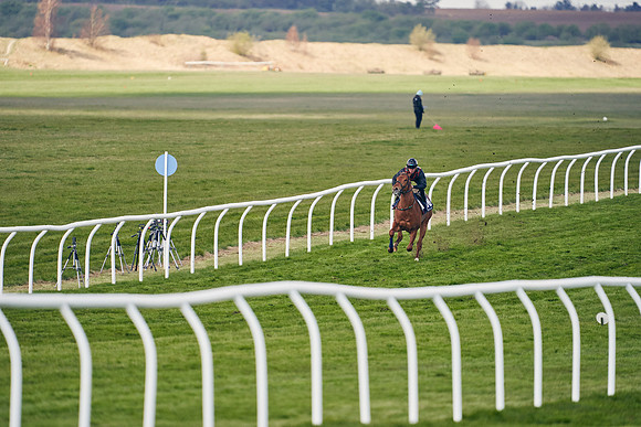 2021-04-12-Dominic-James-Craven-Breeze-Up-Sales-1218