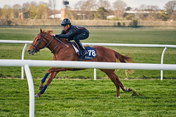 2021-04-12-Dominic-James-Craven-Breeze-Up-Sales-1221