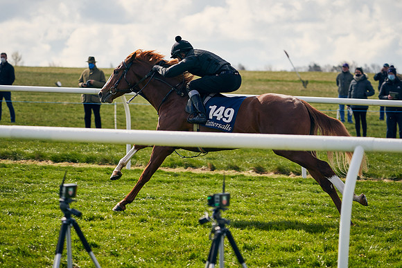 2021-04-12-Dominic-James-Craven-Breeze-Up-Sales-1205