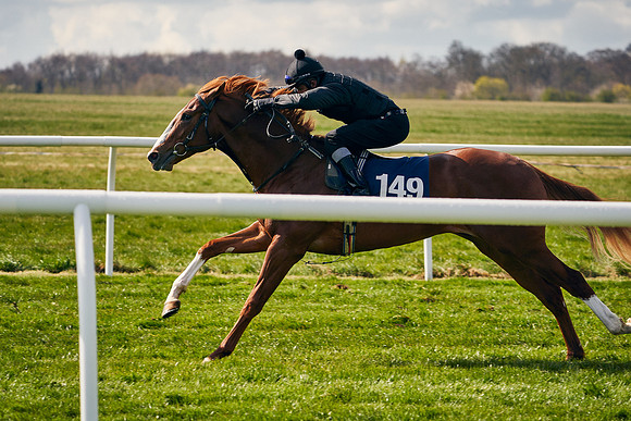 2021-04-12-Dominic-James-Craven-Breeze-Up-Sales-1200