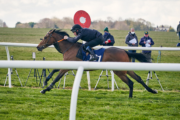 2021-04-12-Dominic-James-Craven-Breeze-Up-Sales-1217