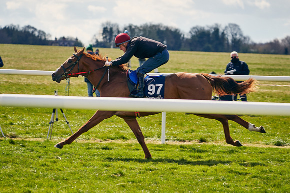 2021-04-12-Dominic-James-Craven-Breeze-Up-Sales-1120