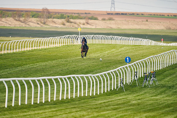 2021-04-12-Dominic-James-Craven-Breeze-Up-Sales-1097