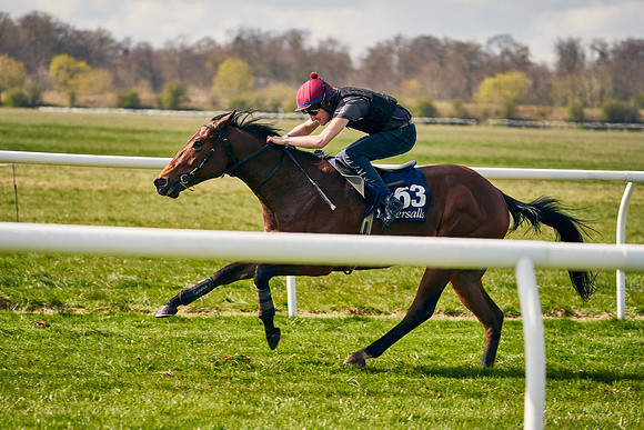 2021-04-12-Dominic-James-Craven-Breeze-Up-Sales-1171