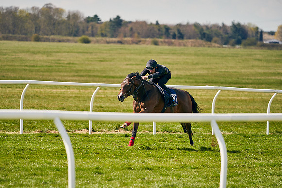 2021-04-12-Dominic-James-Craven-Breeze-Up-Sales-1140