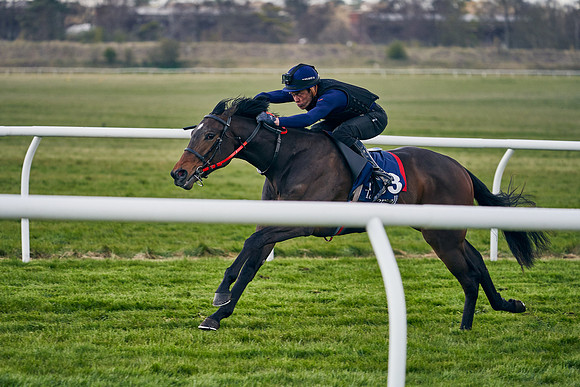 2021-04-12-Dominic-James-Craven-Breeze-Up-Sales-1261