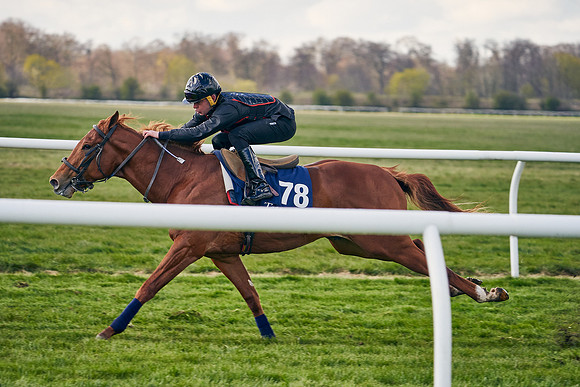 2021-04-12-Dominic-James-Craven-Breeze-Up-Sales-1224