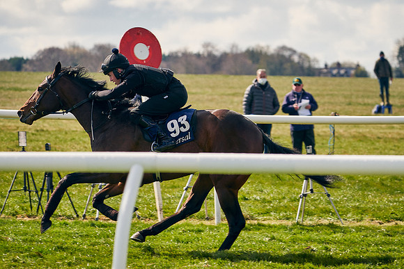 2021-04-12-Dominic-James-Craven-Breeze-Up-Sales-1194