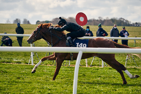 2021-04-12-Dominic-James-Craven-Breeze-Up-Sales-1203