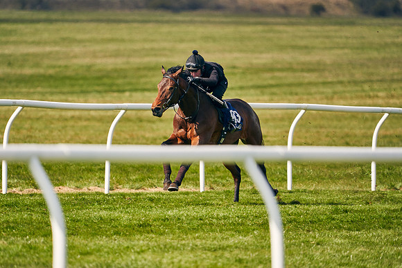 2021-04-12-Dominic-James-Craven-Breeze-Up-Sales-1183