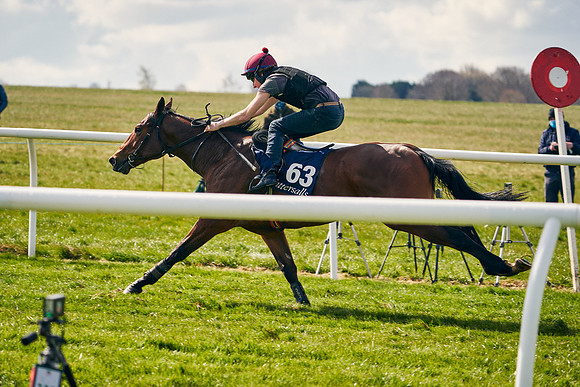 2021-04-12-Dominic-James-Craven-Breeze-Up-Sales-1182