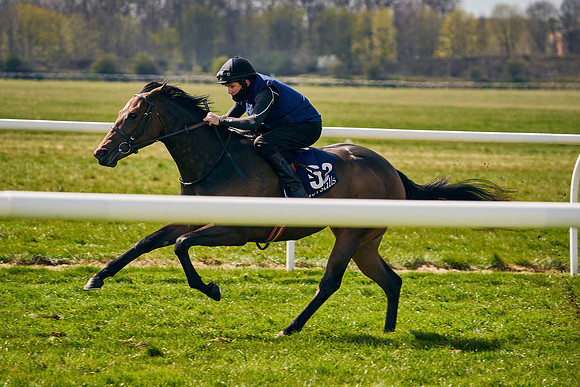 2021-04-12-Dominic-James-Craven-Breeze-Up-Sales-1125