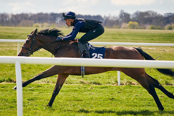2021-04-12-Dominic-James-Craven-Breeze-Up-Sales-1105