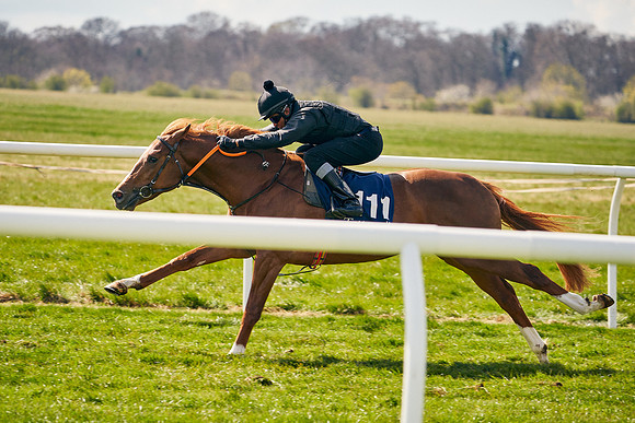 2021-04-12-Dominic-James-Craven-Breeze-Up-Sales-1080