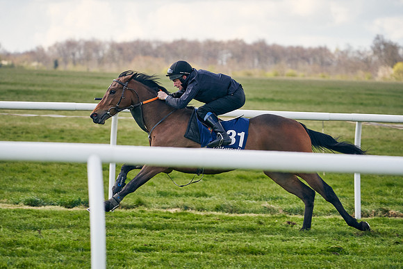 2021-04-12-Dominic-James-Craven-Breeze-Up-Sales-1213