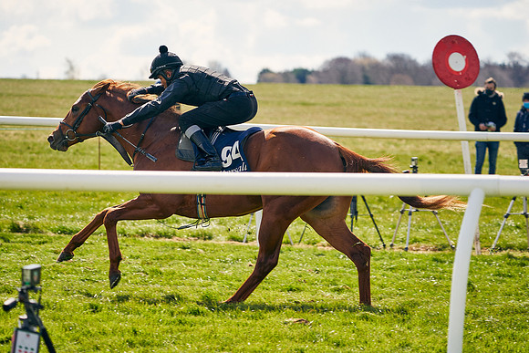 2021-04-12-Dominic-James-Craven-Breeze-Up-Sales-1163