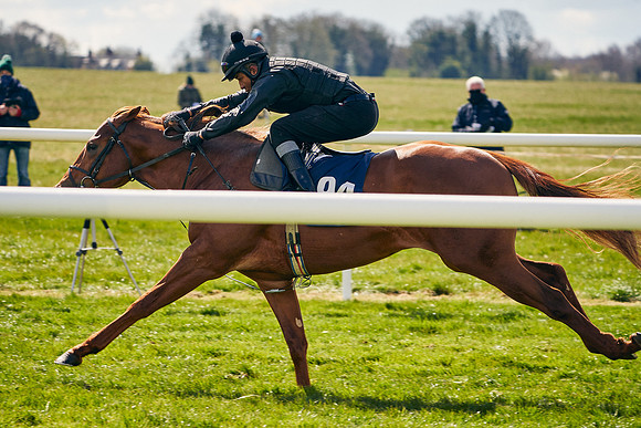 2021-04-12-Dominic-James-Craven-Breeze-Up-Sales-1161