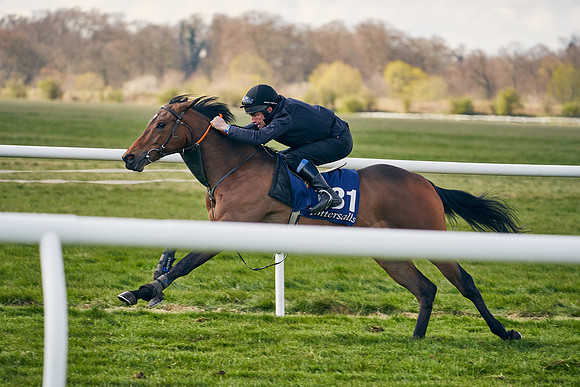 2021-04-12-Dominic-James-Craven-Breeze-Up-Sales-1211
