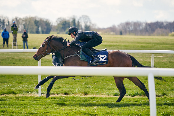 2021-04-12-Dominic-James-Craven-Breeze-Up-Sales-1092