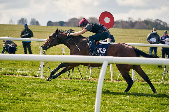 2021-04-12-Dominic-James-Craven-Breeze-Up-Sales-1180