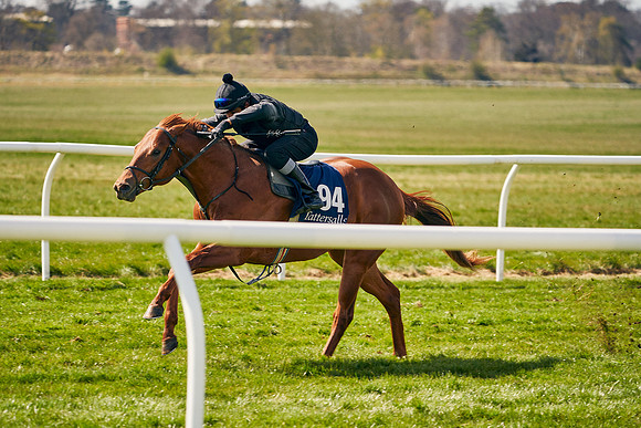 2021-04-12-Dominic-James-Craven-Breeze-Up-Sales-1154