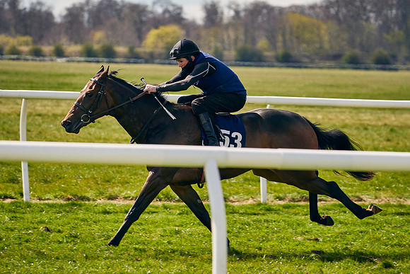 2021-04-12-Dominic-James-Craven-Breeze-Up-Sales-1128
