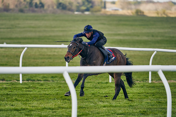 2021-04-12-Dominic-James-Craven-Breeze-Up-Sales-1259