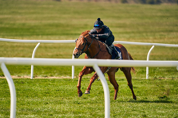 2021-04-12-Dominic-James-Craven-Breeze-Up-Sales-1151