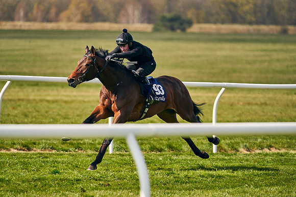 2021-04-12-Dominic-James-Craven-Breeze-Up-Sales-1186