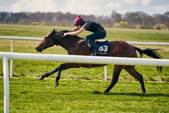 2021-04-12-Dominic-James-Craven-Breeze-Up-Sales-1175