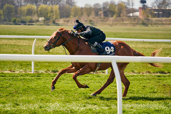 2021-04-12-Dominic-James-Craven-Breeze-Up-Sales-1158