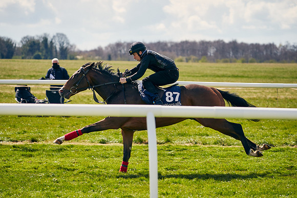 2021-04-12-Dominic-James-Craven-Breeze-Up-Sales-1145