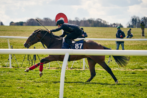 2021-04-12-Dominic-James-Craven-Breeze-Up-Sales-1148