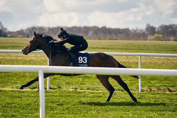 2021-04-12-Dominic-James-Craven-Breeze-Up-Sales-1192