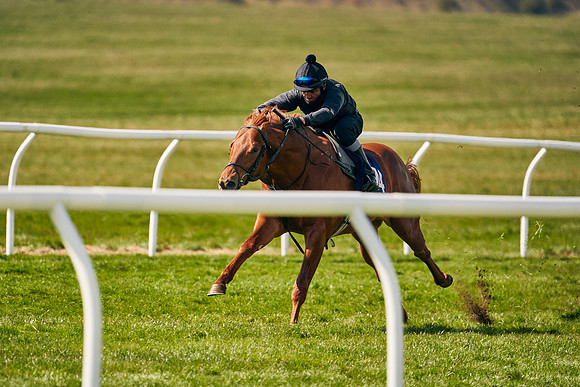 2021-04-12-Dominic-James-Craven-Breeze-Up-Sales-1152