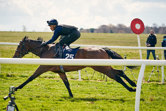 2021-04-12-Dominic-James-Craven-Breeze-Up-Sales-1110