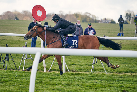 2021-04-12-Dominic-James-Craven-Breeze-Up-Sales-1243