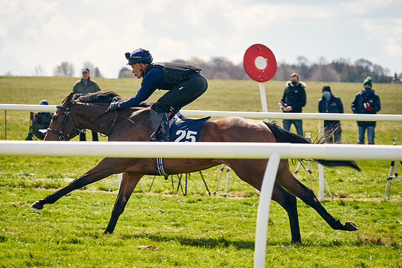 2021-04-12-Dominic-James-Craven-Breeze-Up-Sales-1109