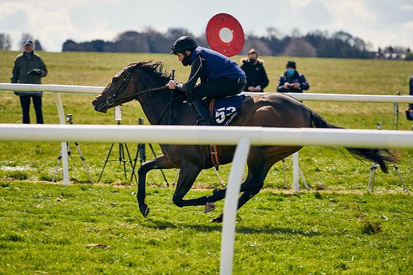 2021-04-12-Dominic-James-Craven-Breeze-Up-Sales-1135