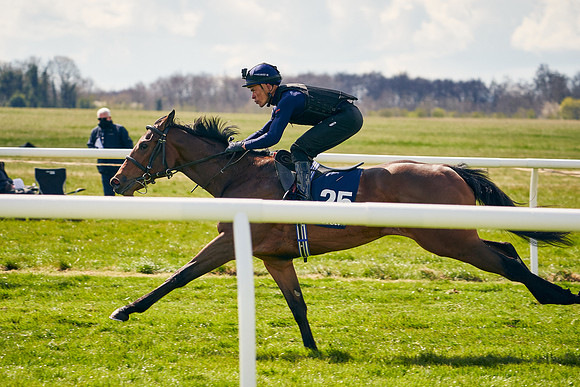 2021-04-12-Dominic-James-Craven-Breeze-Up-Sales-1106