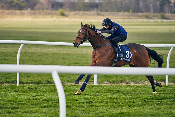 2021-04-12-Dominic-James-Craven-Breeze-Up-Sales-1247