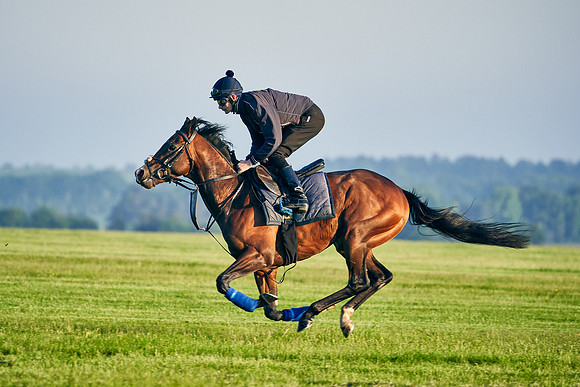 Megallan under Rab Havlin