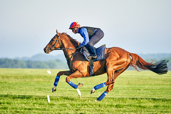 Stradivarius under Frankie
