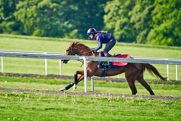 2021-05-26-Dominic-James-3201