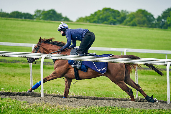 2021-05-26-Dominic-James-2422