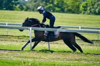 2021-06-09-Dominic-James-4978