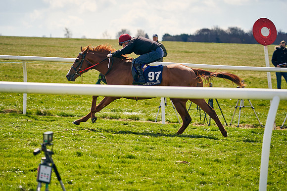 2021-04-12-Dominic-James-Craven-Breeze-Up-Sales-1123