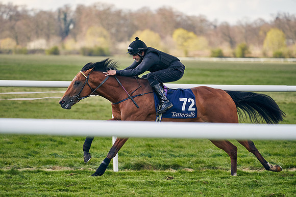 2021-04-12-Dominic-James-Craven-Breeze-Up-Sales-1237