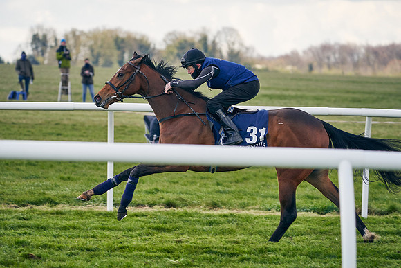 2021-04-12-Dominic-James-Craven-Breeze-Up-Sales-1251